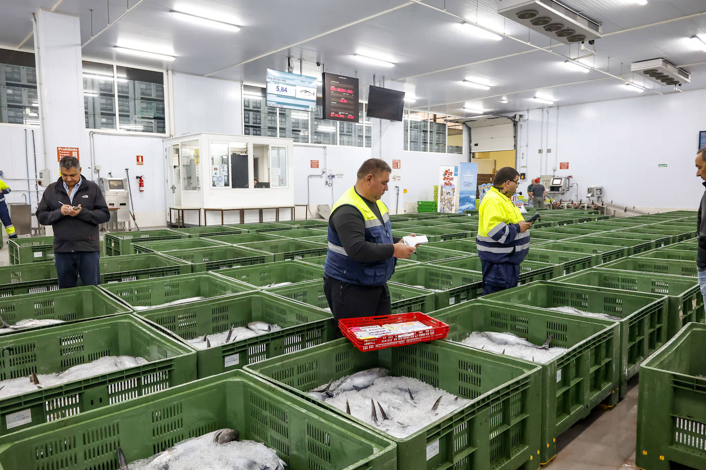 El primer bonito de Gijón, a 14,91 euros el kilo