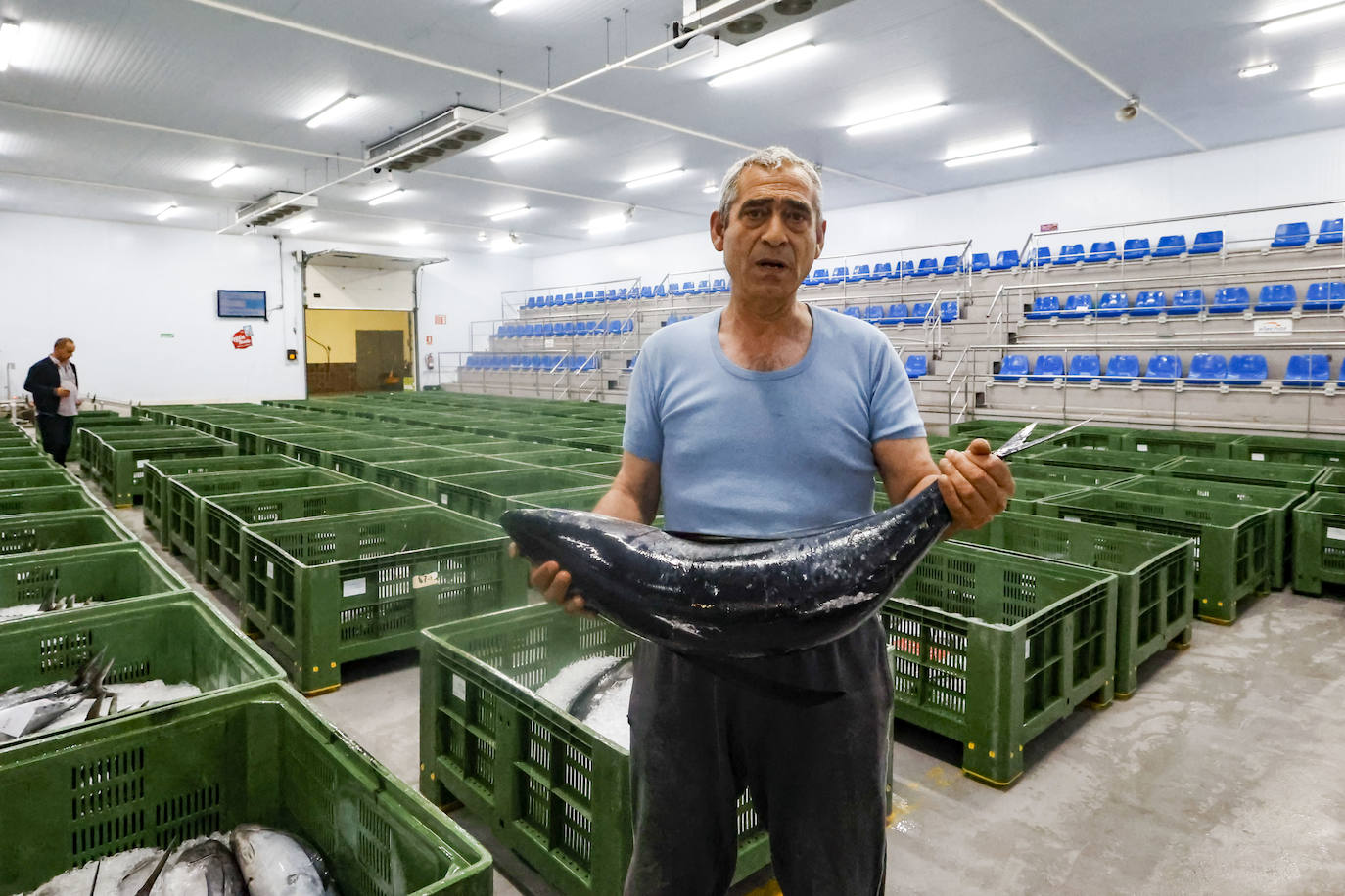 El primer bonito de Gijón, a 14,91 euros el kilo