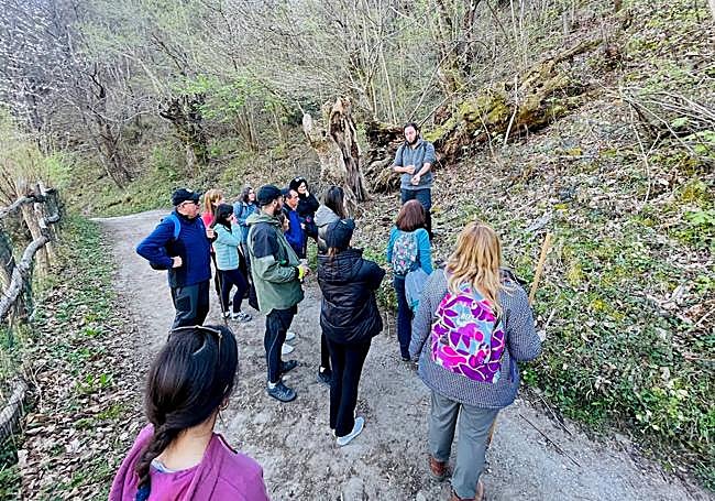 La teoría y la practica para identificar especies vegetales medicinales se fusionan en estas rutas botánicas con todos los beneficios que proporciona el senderismo