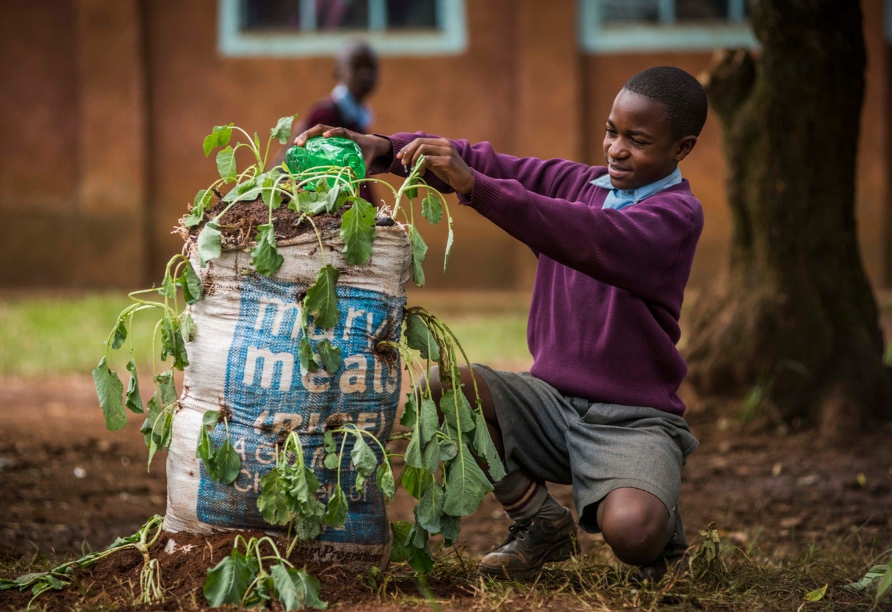 La batalla contra la desnutrición de la ONG Mary&#039;s Meals