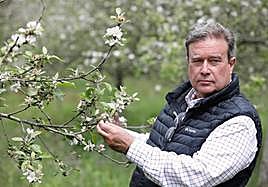Guillermo Guisasola revisa la floración de los manzanos en su finca La Solana.