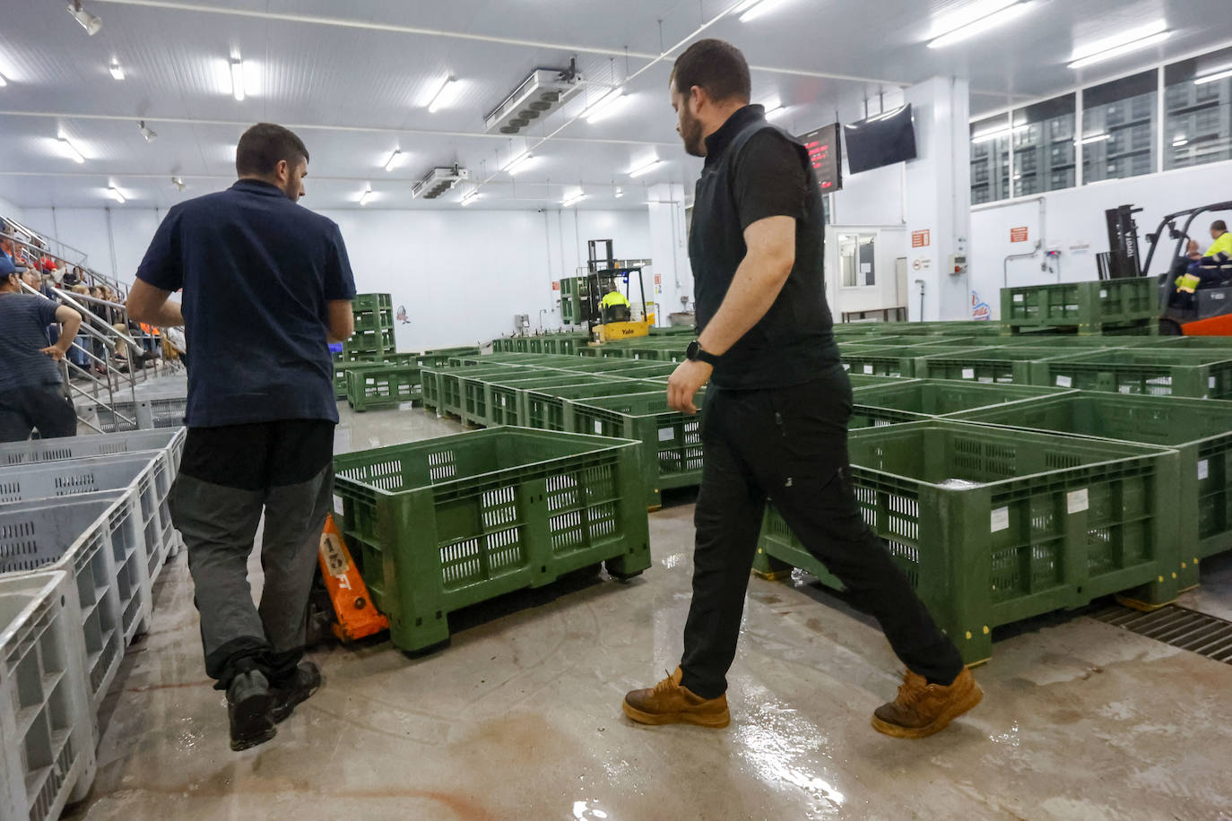 40.000 kilos en la primera gran subasta de bonito en la rula de Gijón
