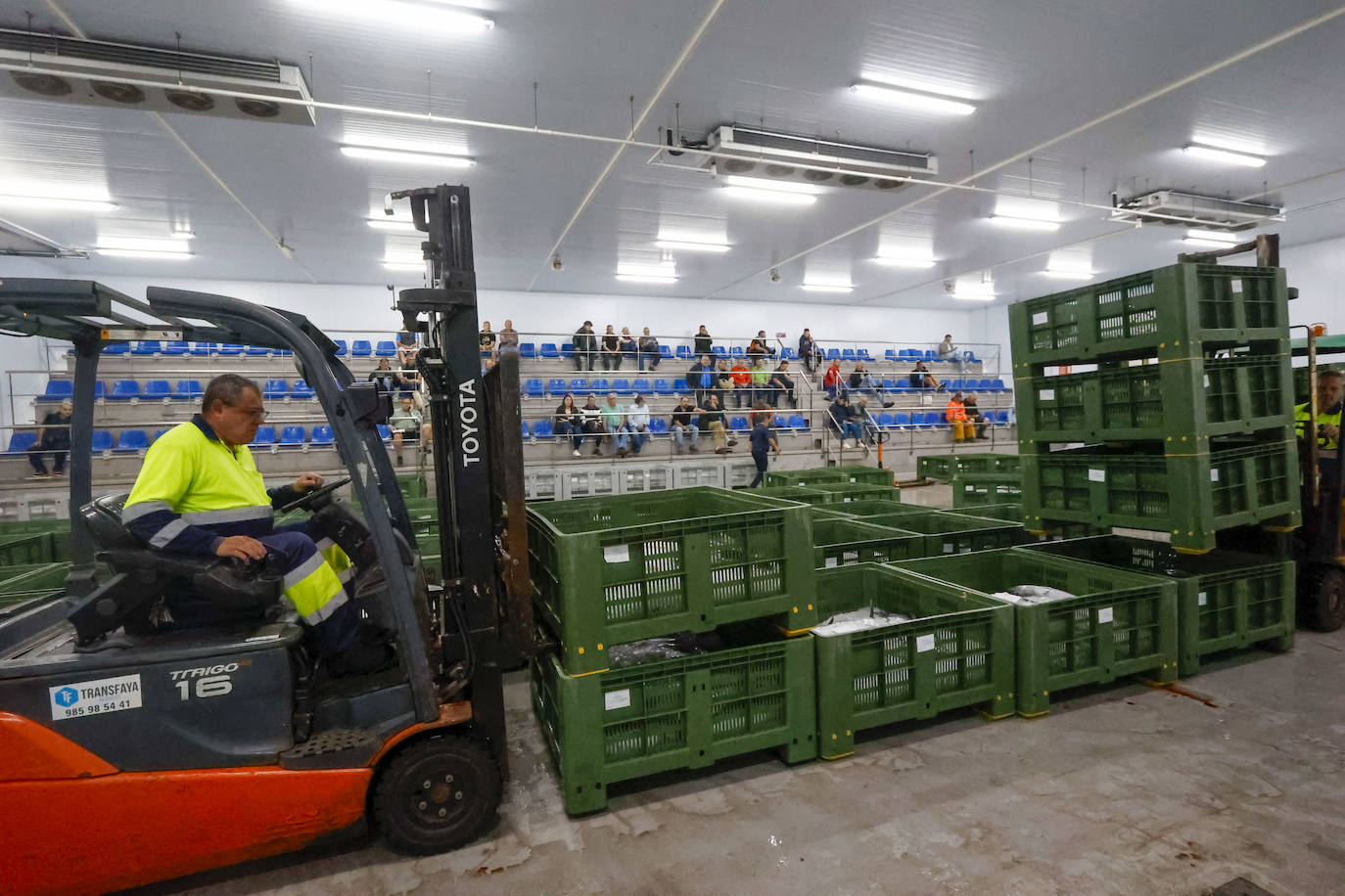 40.000 kilos en la primera gran subasta de bonito en la rula de Gijón