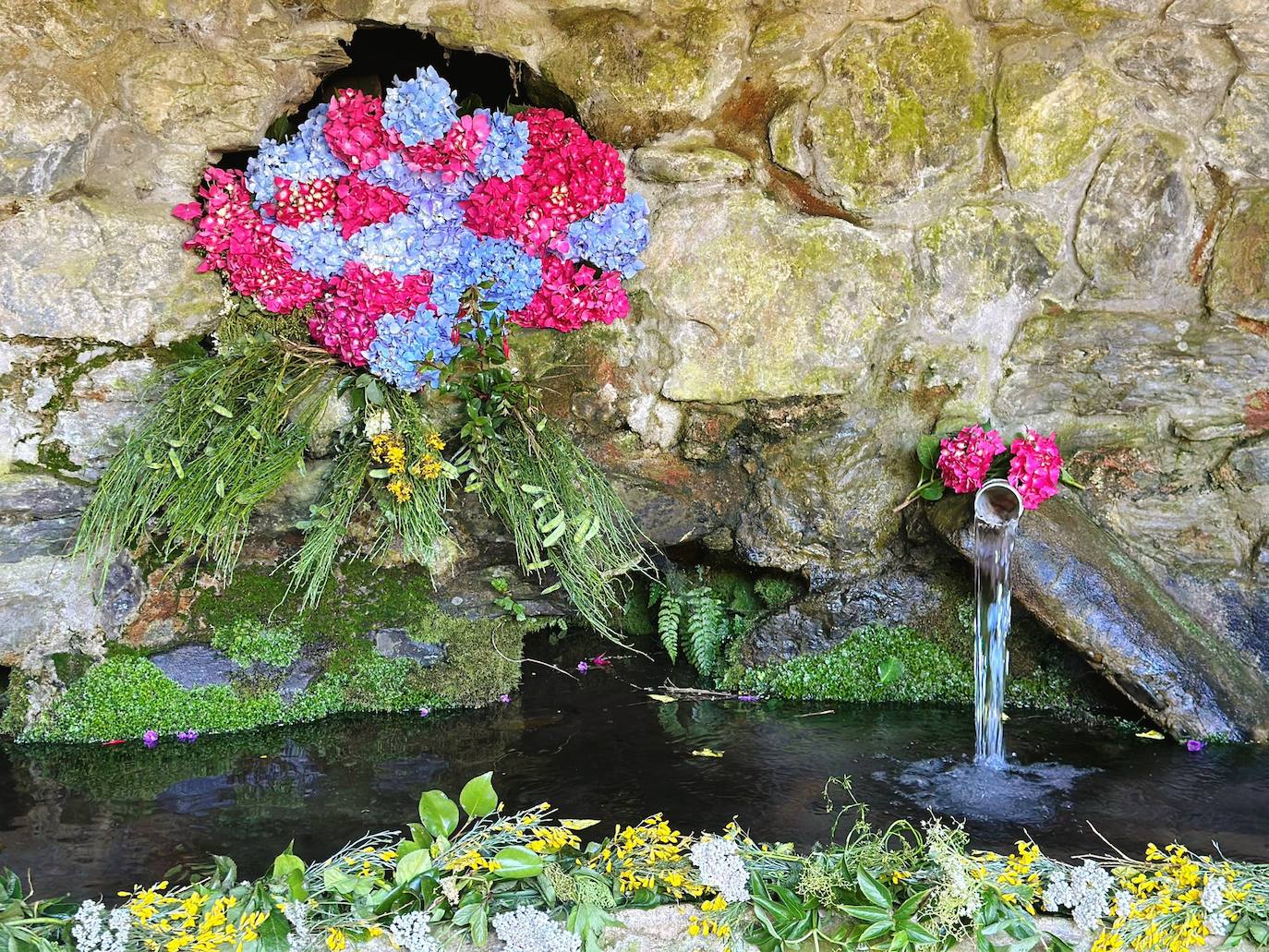 Limés enrama entre generaciones