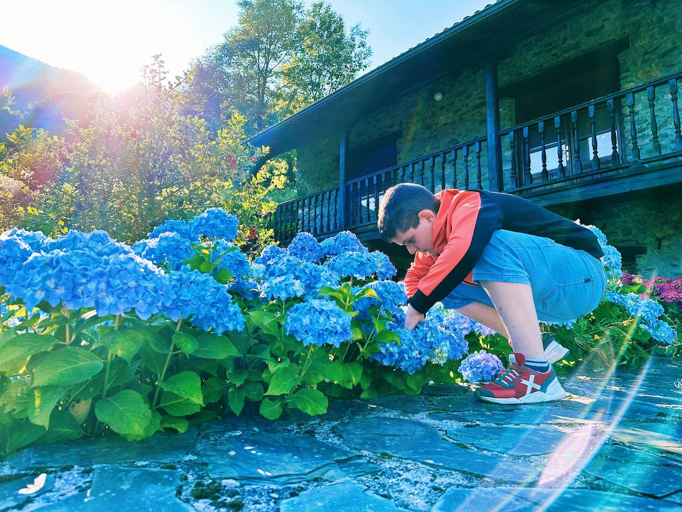Limés enrama entre generaciones