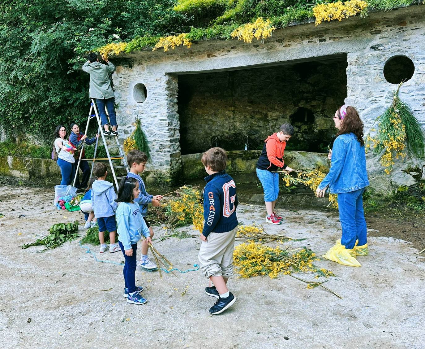 Limés enrama entre generaciones