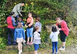 Los participantes, en plena labor de enramado