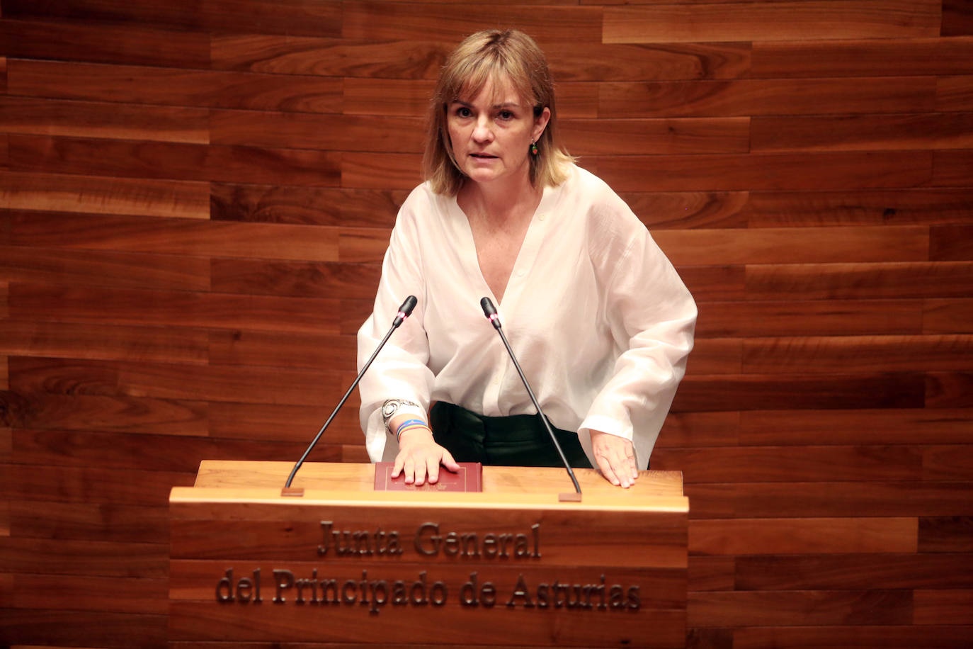 «Asturias necesita un gobierno firme de 23 diputados progresistas»