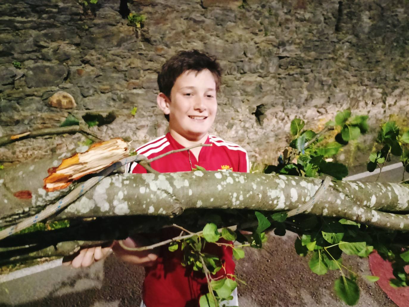 Así ha sido la festividad del arbolón en Cangas del Narcea