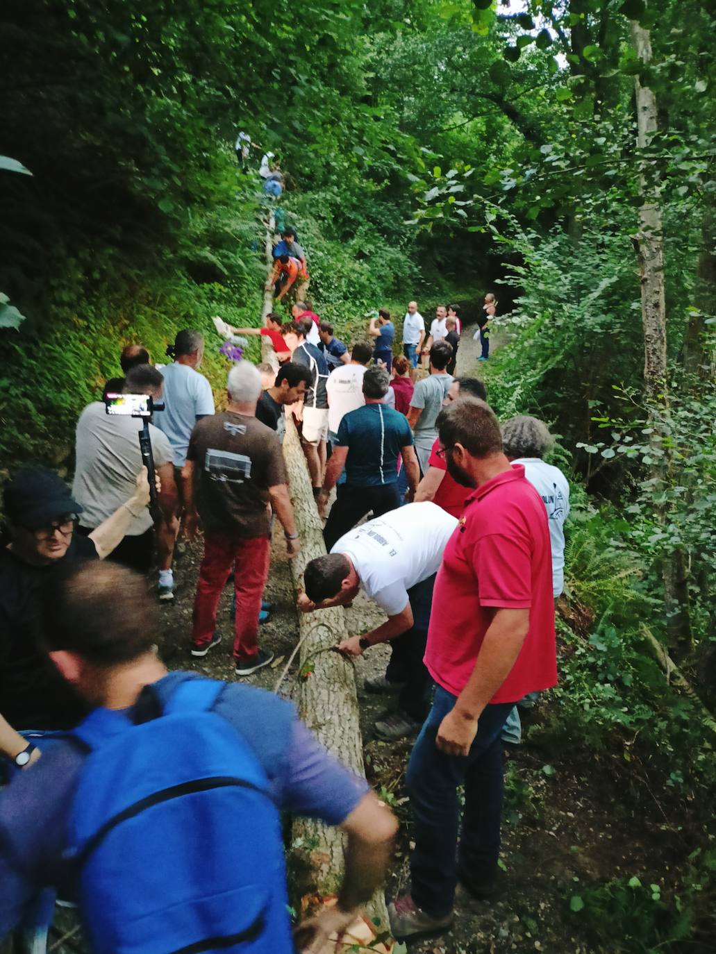 Así ha sido la festividad del arbolón en Cangas del Narcea