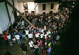 Los vecinos de Cangas del Narcea, con el arbolón.