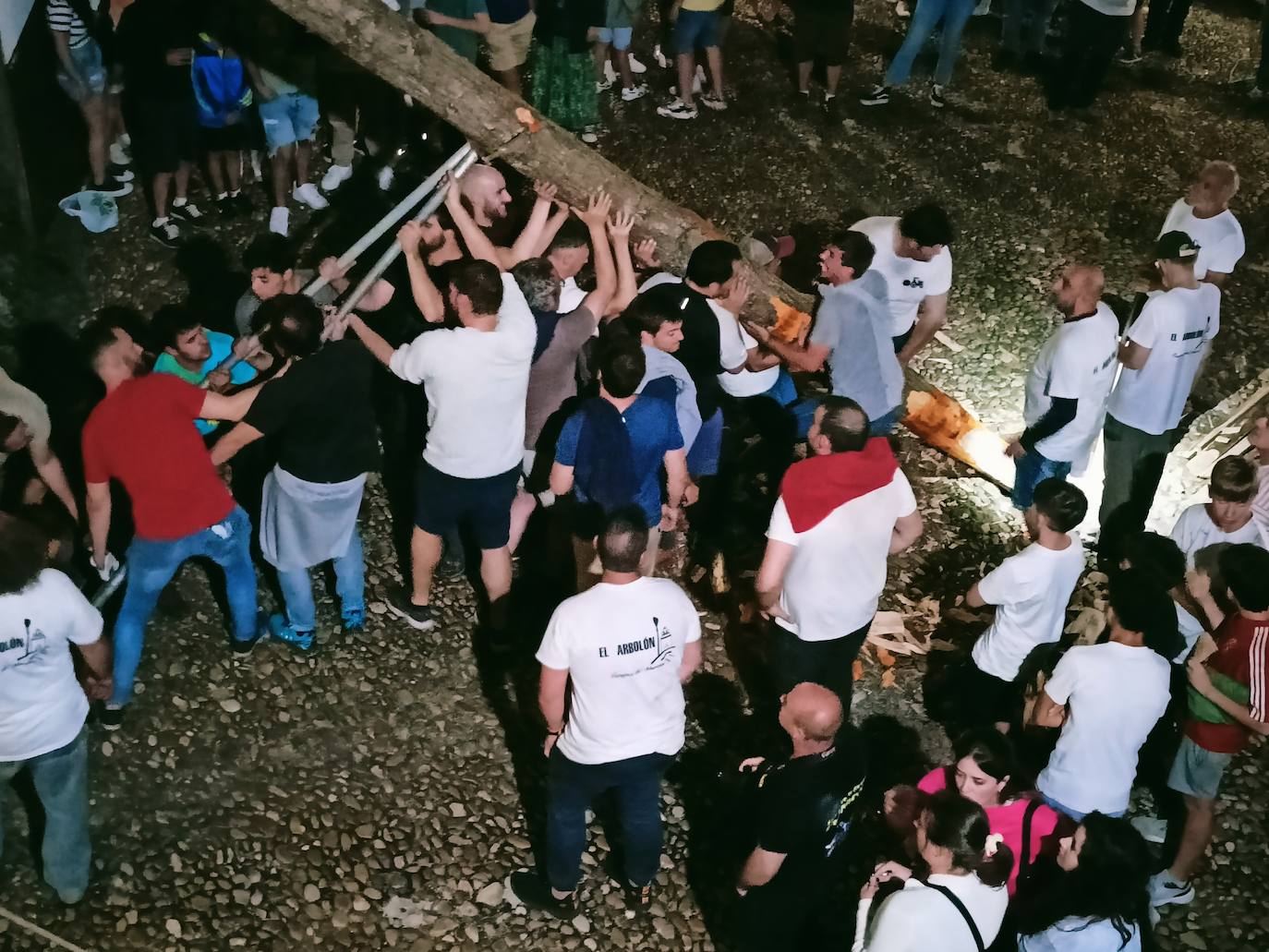 Así ha sido la festividad del arbolón en Cangas del Narcea