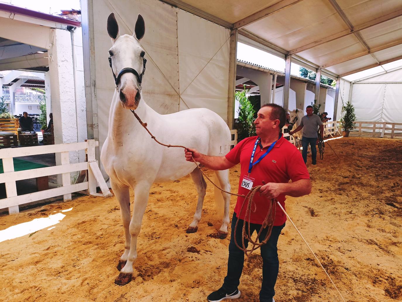 Las mejores imágenes del concurso de caballos de Tineo