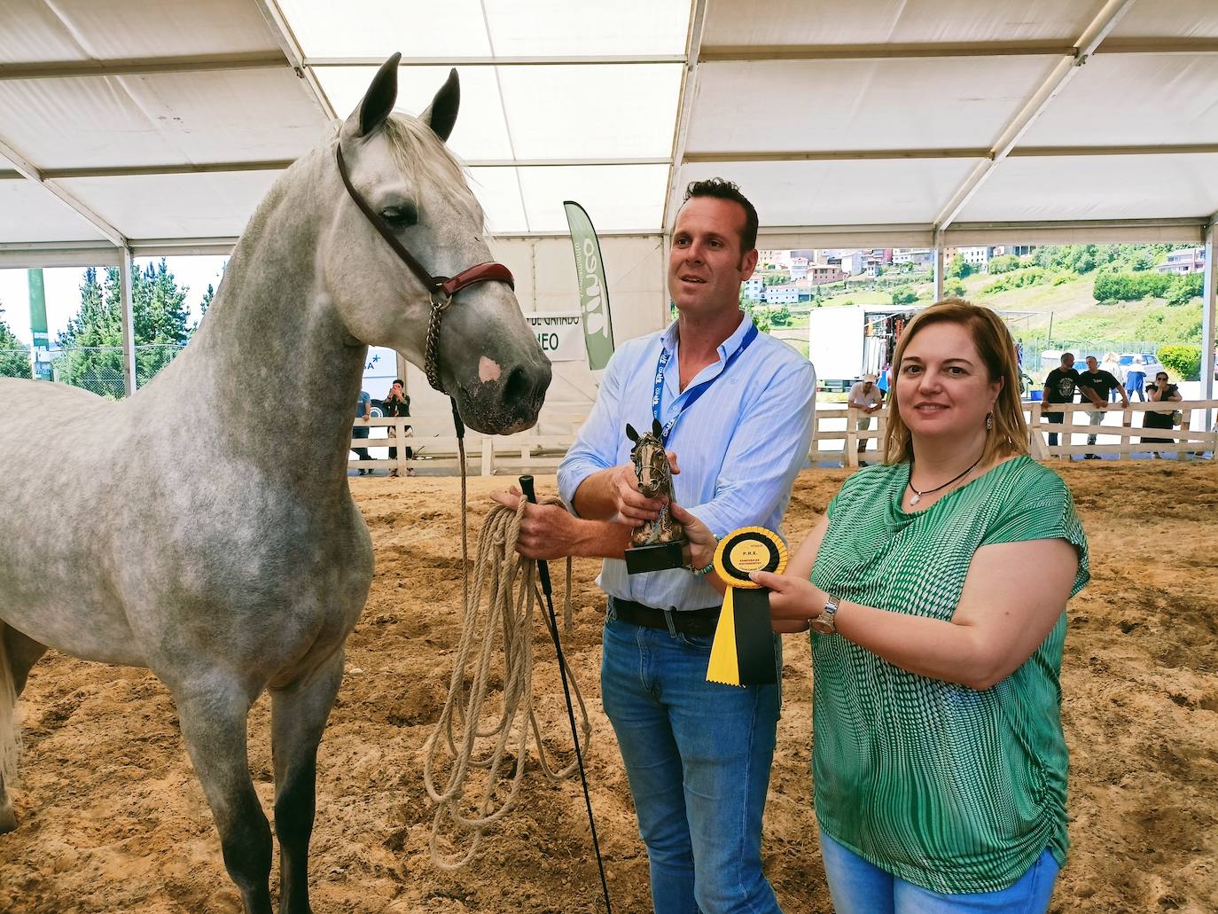Las mejores imágenes del concurso de caballos de Tineo