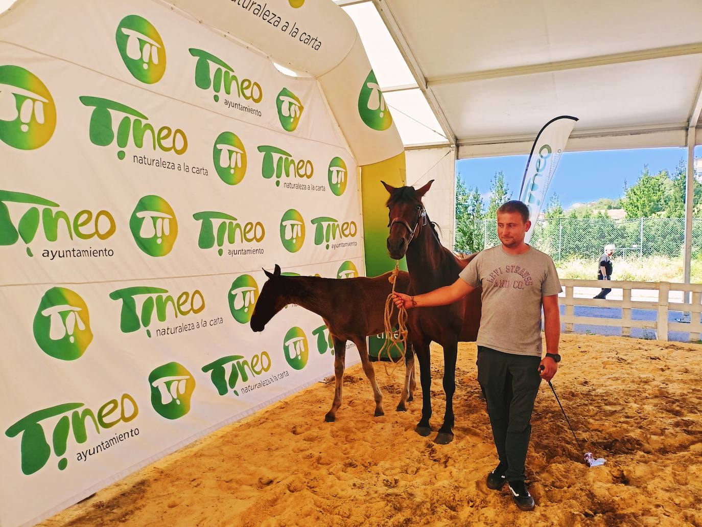 Las mejores imágenes del concurso de caballos de Tineo