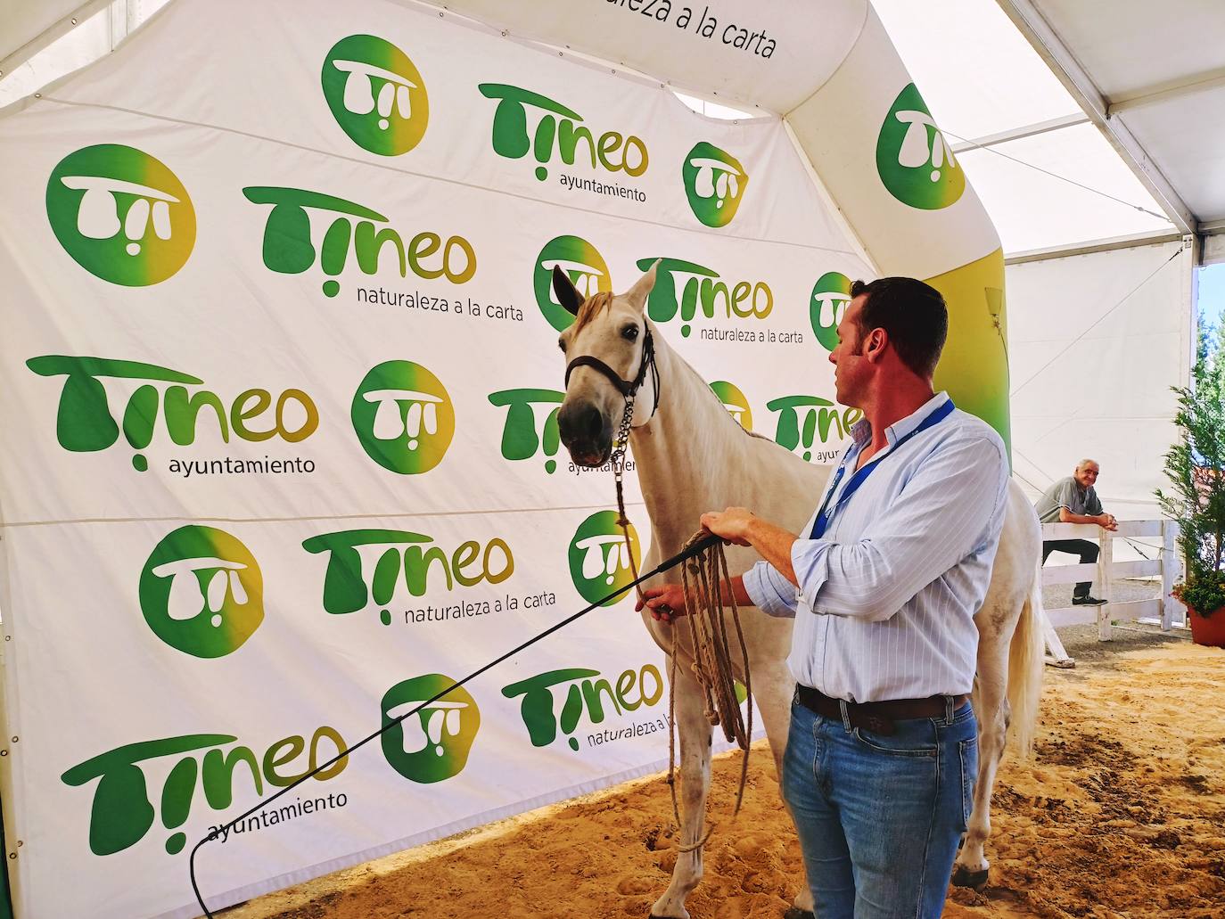 Las mejores imágenes del concurso de caballos de Tineo