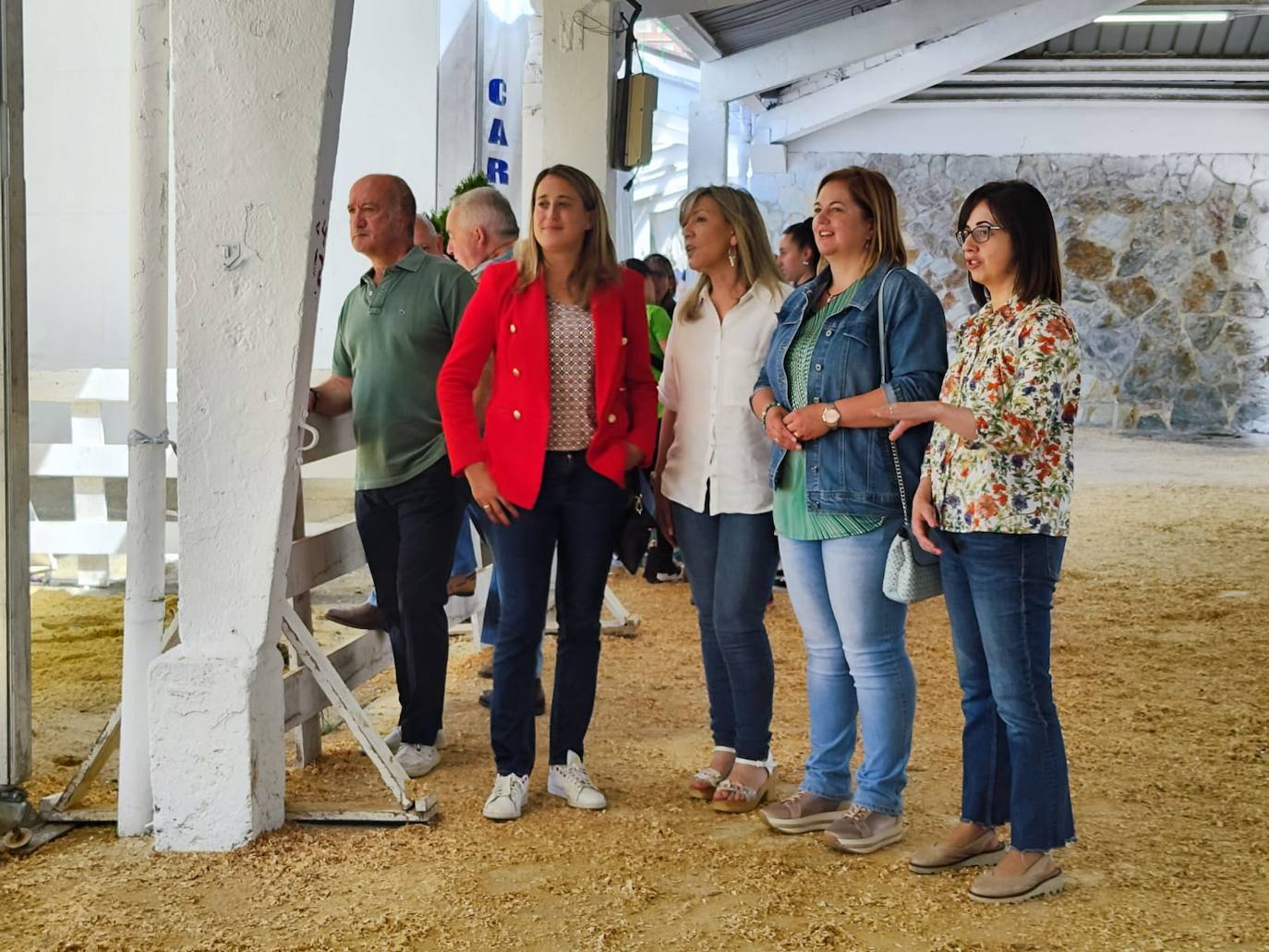 Las mejores imágenes del concurso de caballos de Tineo