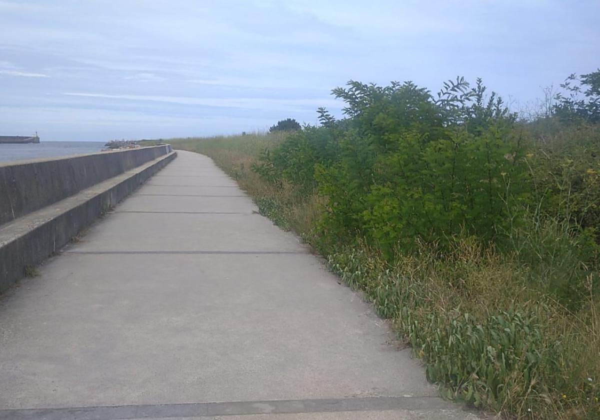 Zonas verdes que rodean el paseo del paseo de San Juan de La Arena.
