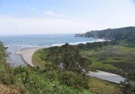 Las mejores playas de Asturias a las que puedes ir con tu perro