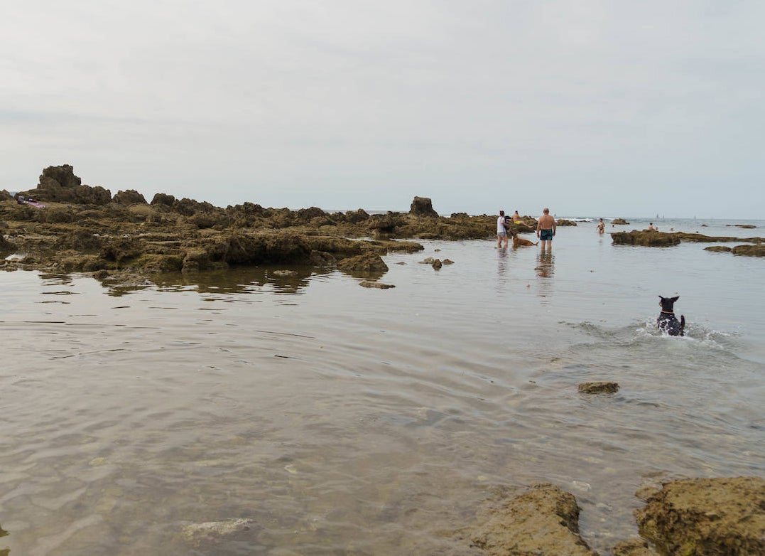 Playa El Rinconín (Gijón)