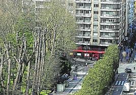 El Consistorio ovetense tiene hasta el 30 de junio de 2025 para implantar la Zona de Bajas Emisiones