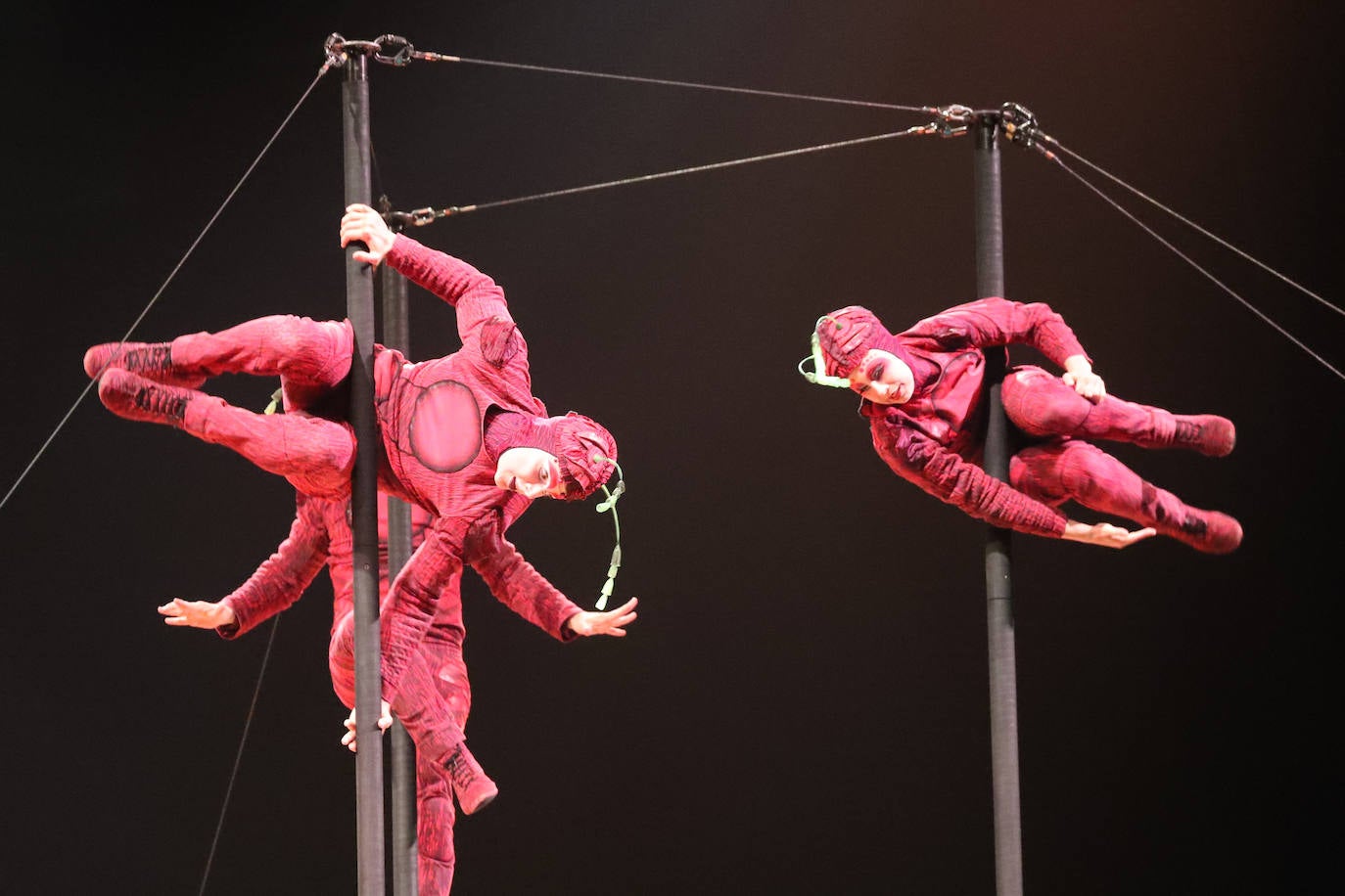 Eclosión de talento, destreza y belleza en &#039;Ovo&#039;