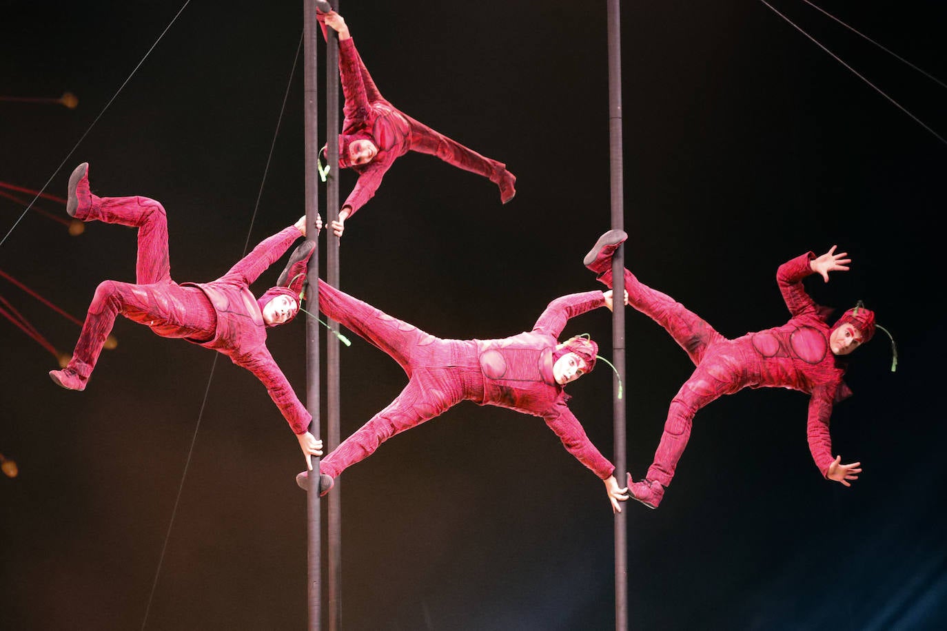 Eclosión de talento, destreza y belleza en &#039;Ovo&#039;