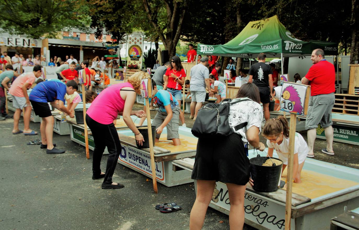 Navelgas brilla como el oro