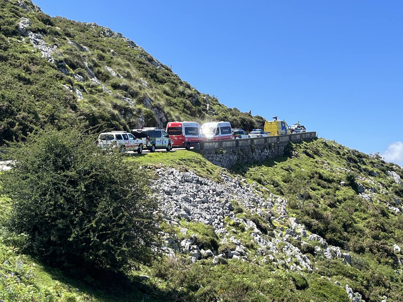 Un autobús con 49 personas se despeña al subir a los Lagos de Covadonga