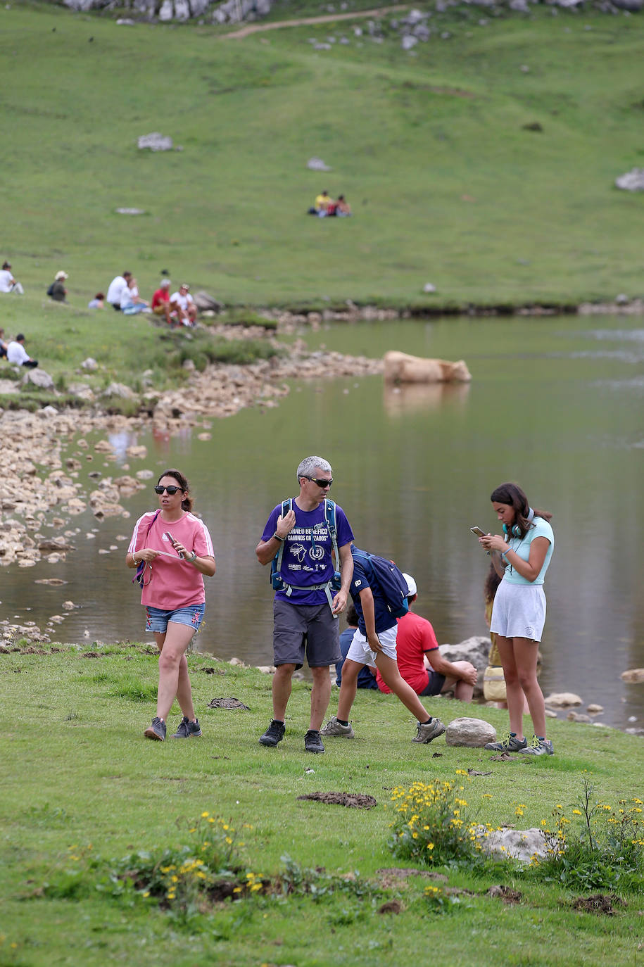 Los turistas vuelven a los Lagos de Covadonga