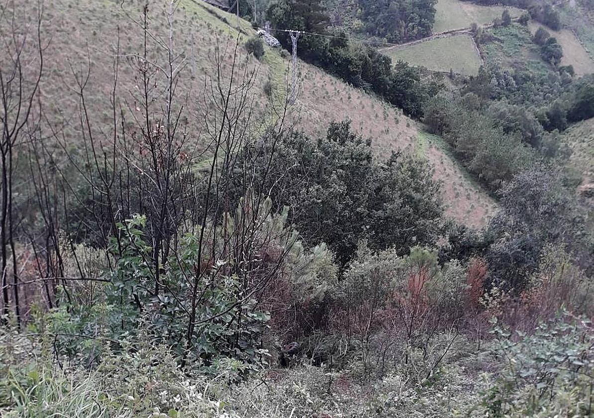 Zona en la que se produjo el accidente.