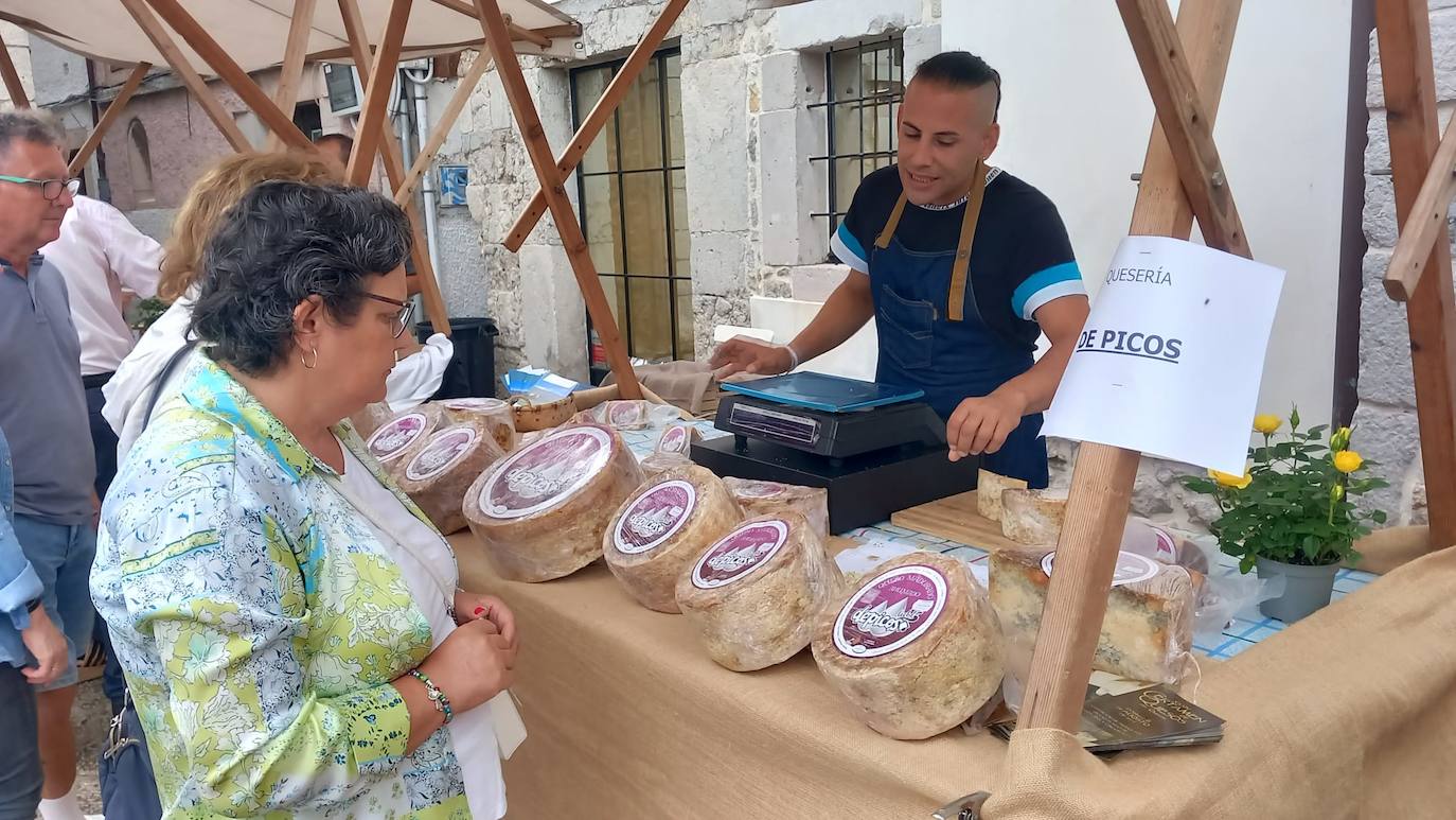 Quesos artesanos en Llanes