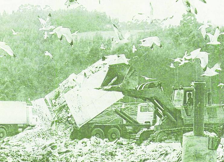 Gaviotas sobre el vertedero de Cogersa en Serín.