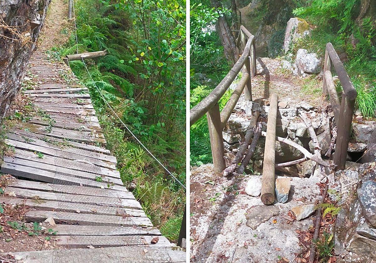 Las plataformas para atravesar el bosque están muy deterioradas; Algunas de las zonas son realmente peligrosas, alertan los vecinos.