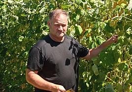 José Manuel García, productor de faba en la localidad de Arbón (Villayón).