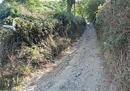 «Tenemos que ir a atender el ganado por caminos que cada vez son más peligrosos»