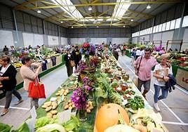 El certamen cumple este año su quincuagésima edición.