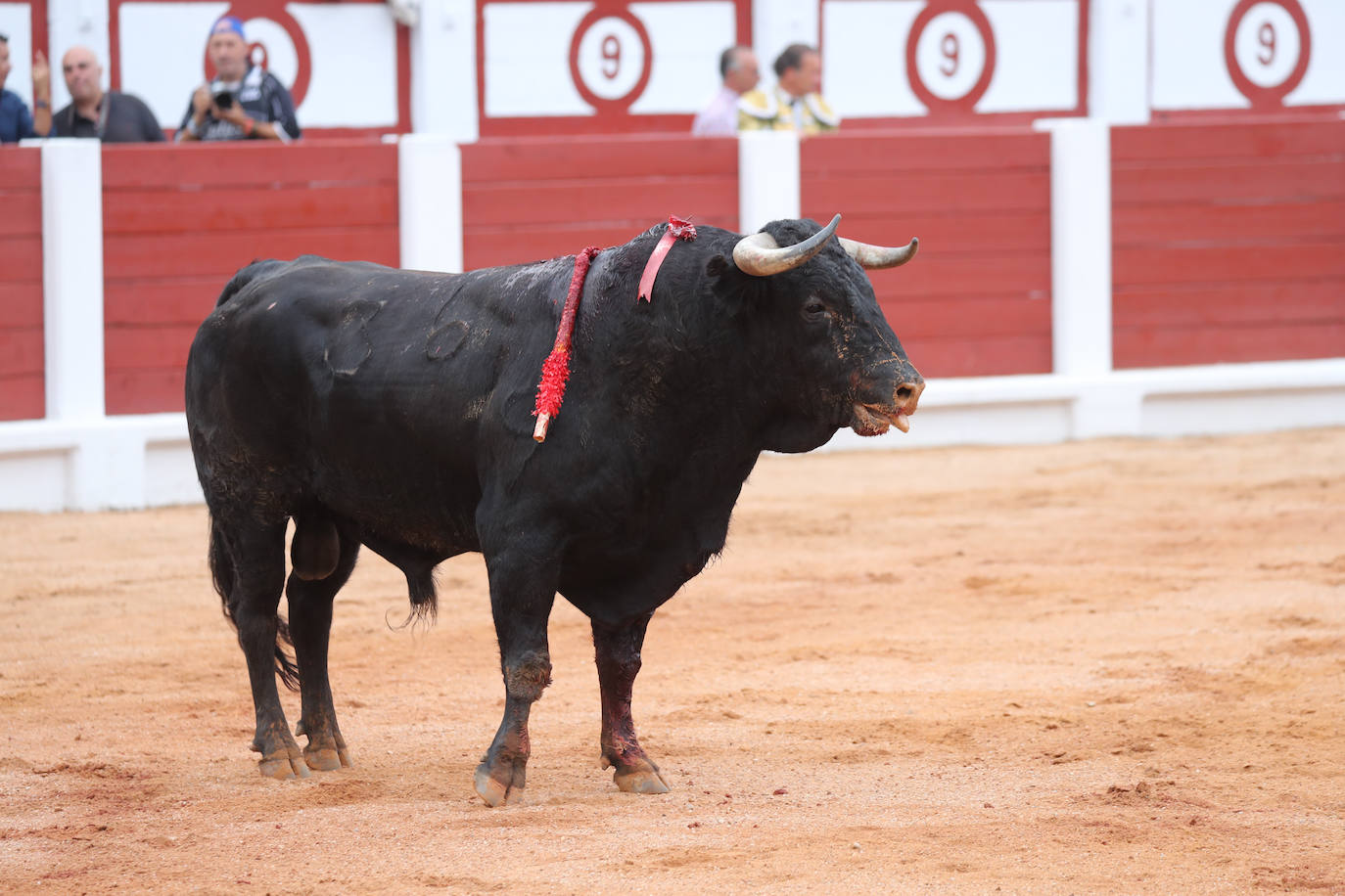 Así ha sido la segunda corrida de la Feria Taurina de Gijón