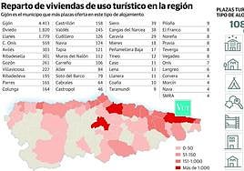 Los propietarios de viviendas turísticas rechazan que les impongan una tasa