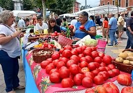 El puesto de la maliaya Dolores Álvarez Costales ofrecía quince diferentes variedades de tomates.