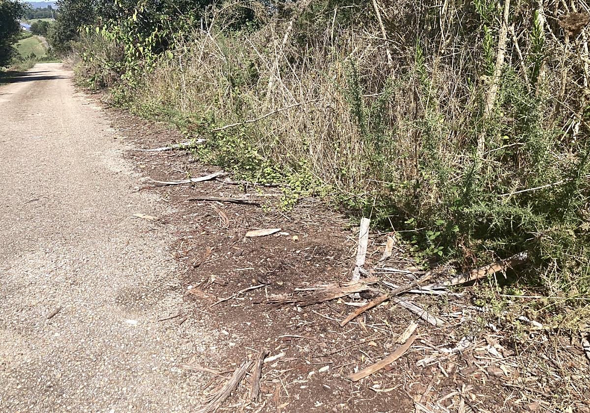 Lugar en el que fue localizado el cadáver, en la zona de la Piniecha, en el pueblo de Setienes (Valdés).