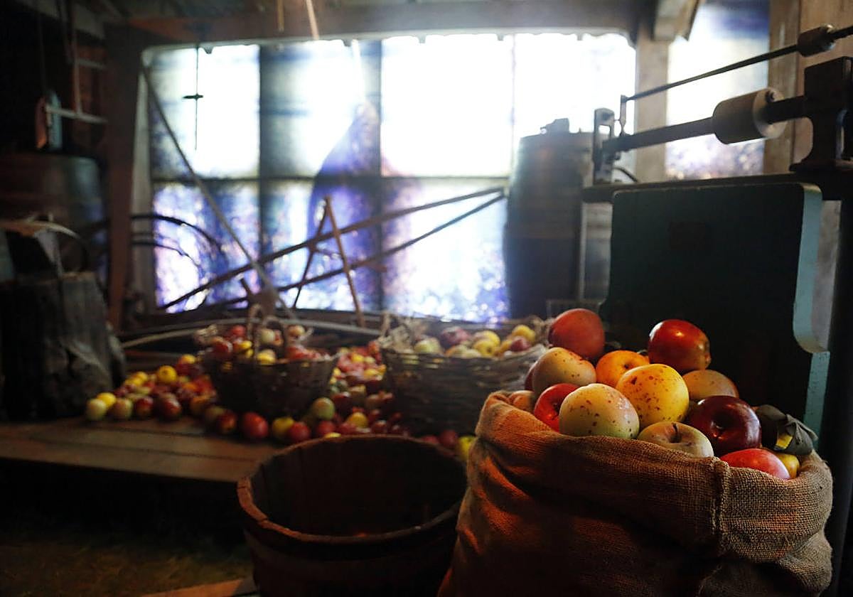 Museo de la Sidra, en Nava.