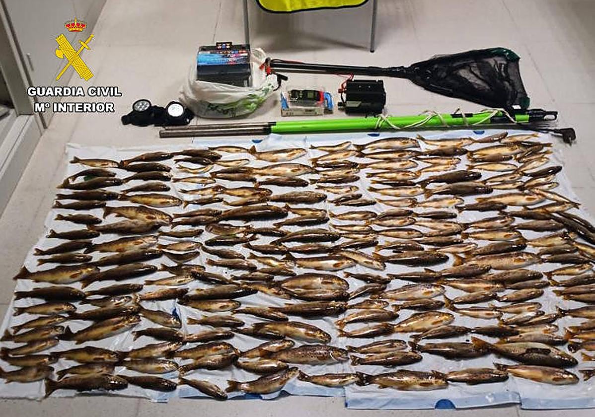 Investigados dos vecinos de Cangas del Narcea con 215 truchas en el maletero por usar el método de pesca eléctrica