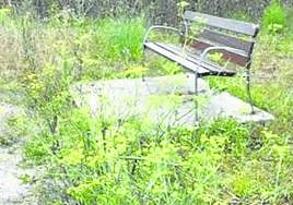 Actual situación de la zona de La Rozá, que evidencia una ausencia total de mantenimiento.