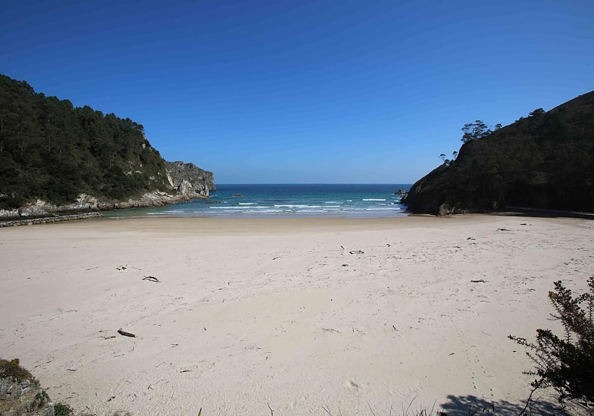 El arenal de La Franca, que ha estado cerrado al baño durante una semana.