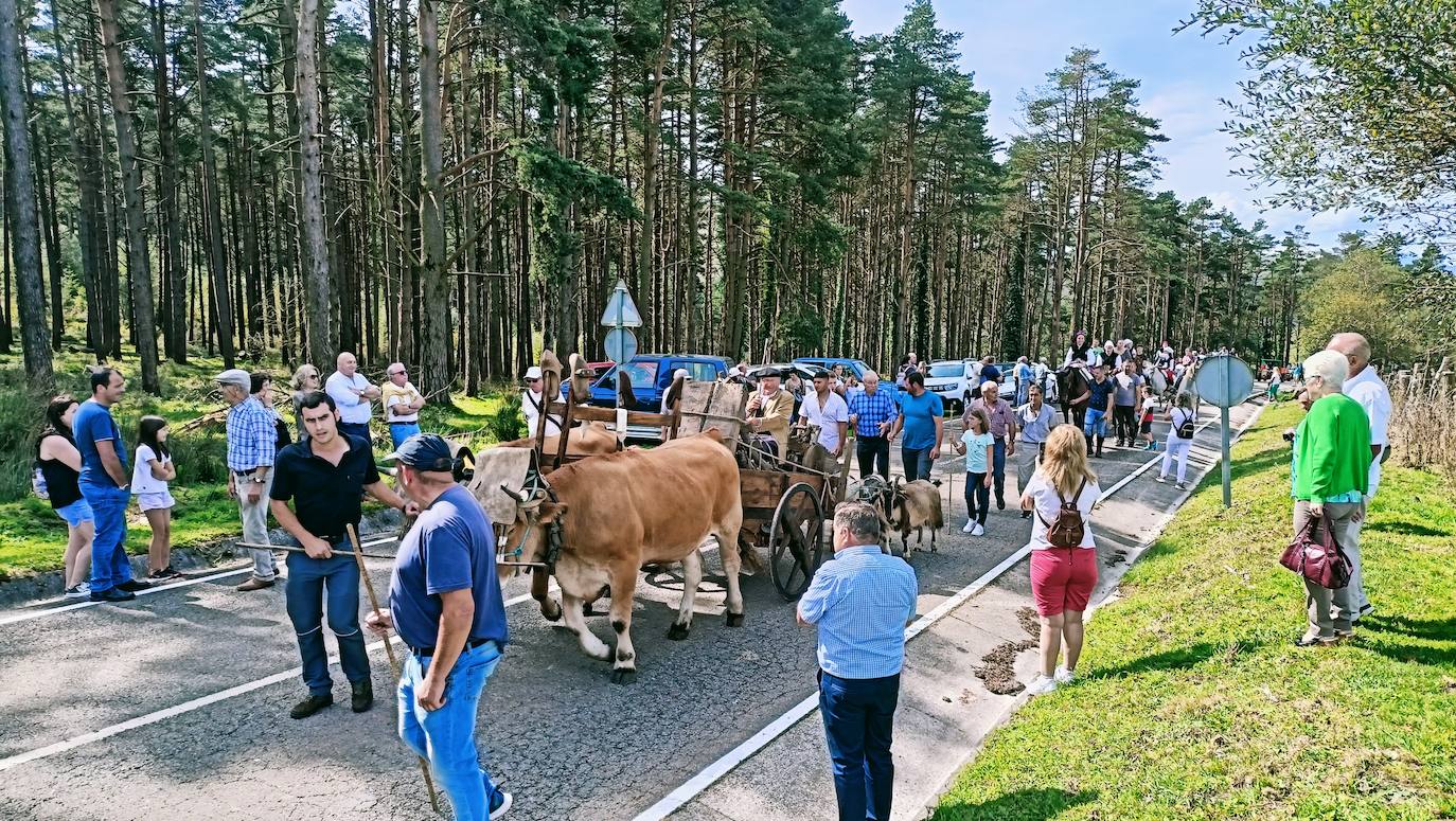 Tradición y homenaje en la Fiesta de la Trashumancia