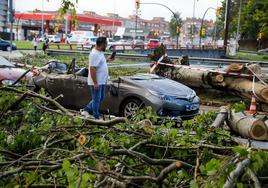 La tormenta derribó un árbol, que destrozó un coche en Gijón.