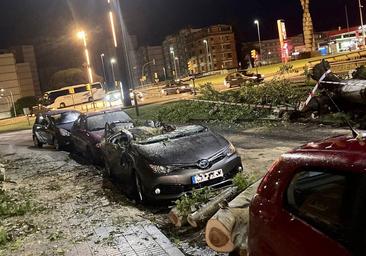 Un coche, destrozado en Gijón al caerle un árbol encima