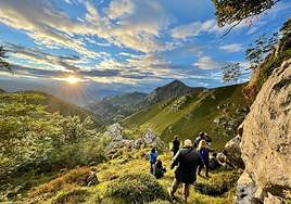 El espectáculo de la berrea da comienzo en Aller y en Redes