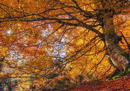 Meteorología prevé para Asturias un otoño «húmedo, pero que no solucionará la sequía»